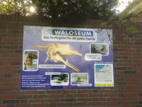Waloseum_Logo